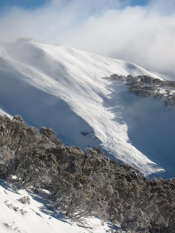 The Harrietville Snowline Hotel Екстериор снимка