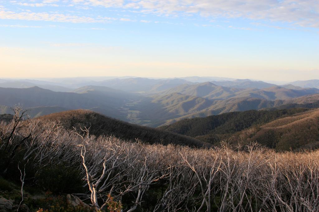 The Harrietville Snowline Hotel Екстериор снимка