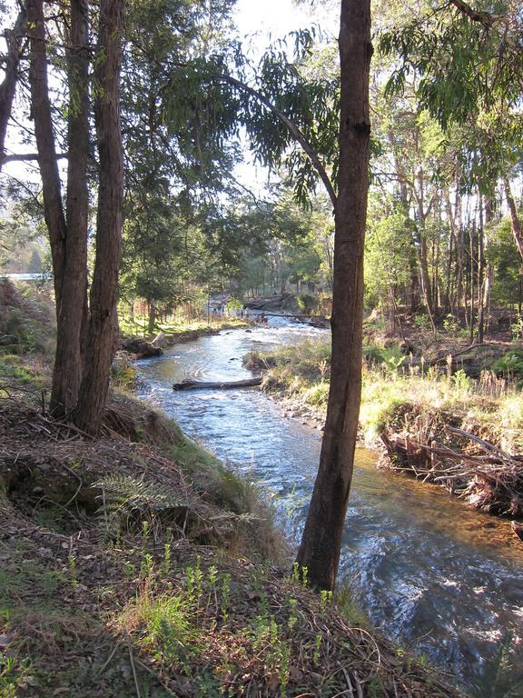 The Harrietville Snowline Hotel Екстериор снимка