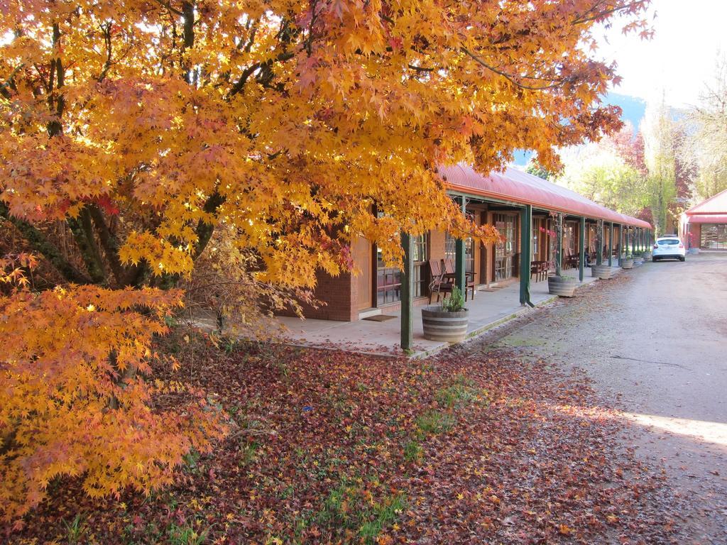 The Harrietville Snowline Hotel Стая снимка