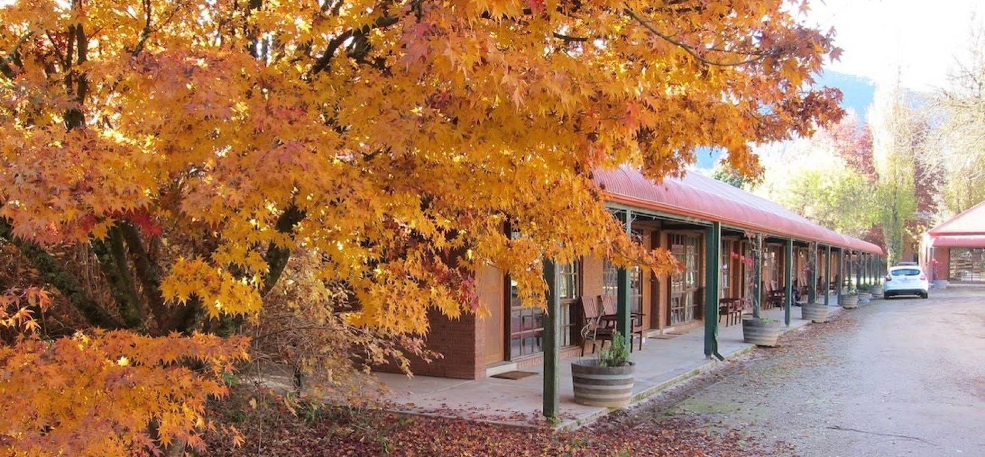 The Harrietville Snowline Hotel Екстериор снимка